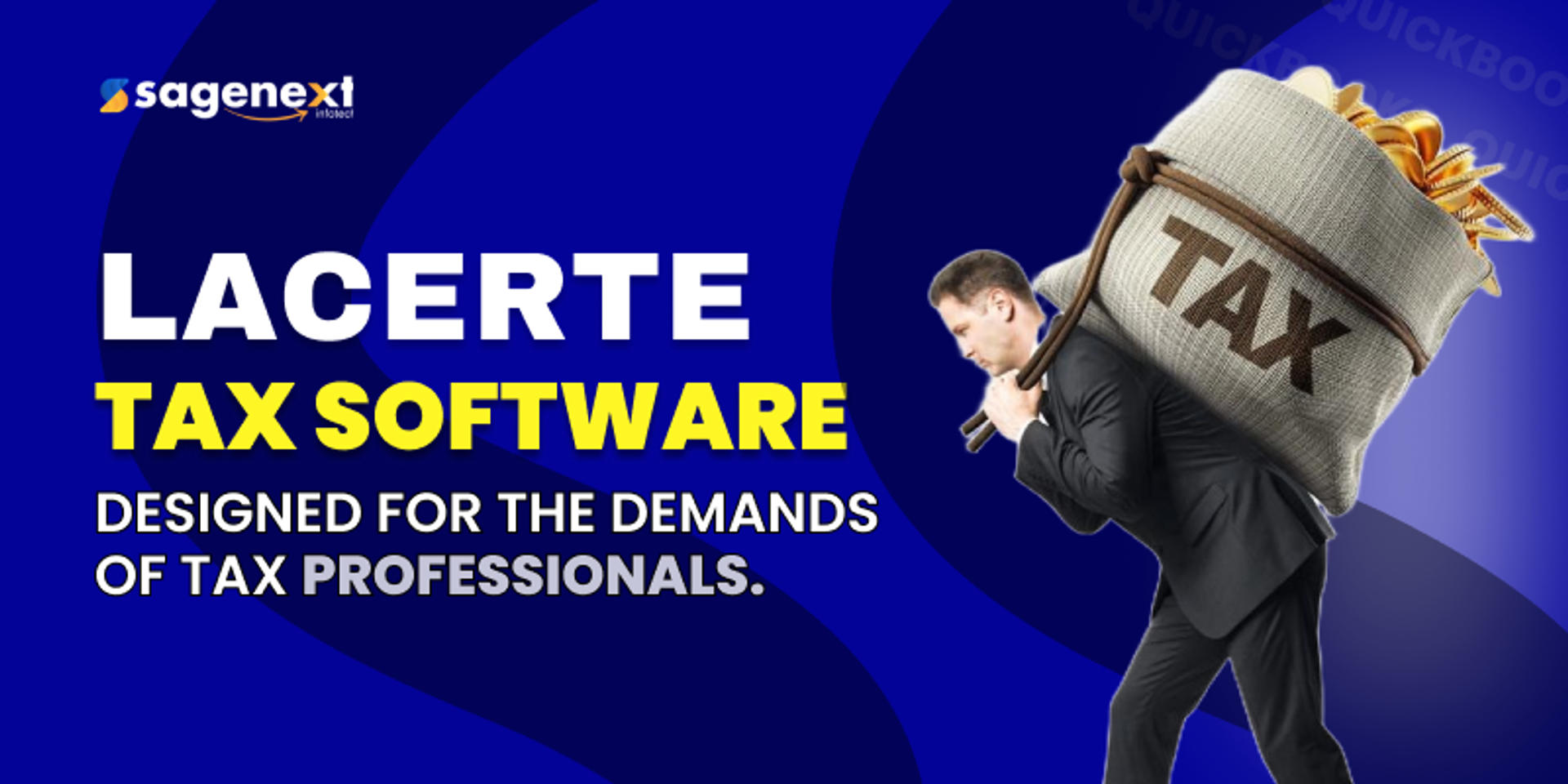 Lacerte Tax Software